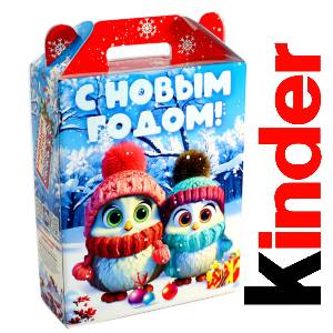 Детский подарок на Новый Год в жестяной упаковке весом 830 грамм по цене 3297 руб в Ардатове